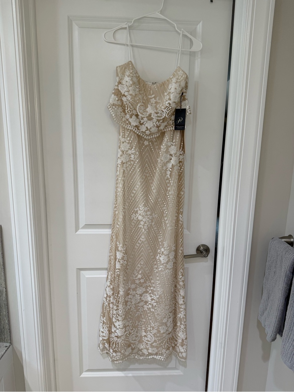 Adrianna Papell Champagne and White Lace Beaded Maxi Gown - Picture 6 of 9